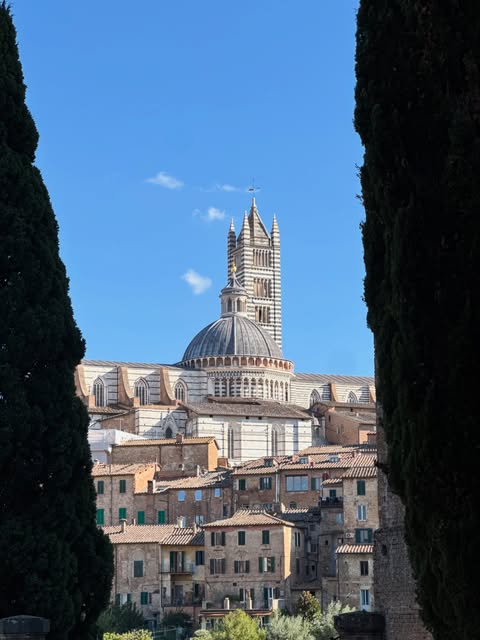 Siena é daquelas cidades que fazem a gente esquecer que tinha um roteiro.🤎
Entramos por uma rua, saímos por outra e, no meio, encontramos uma das cidades mais bonitas da Itália.🇮🇹.
