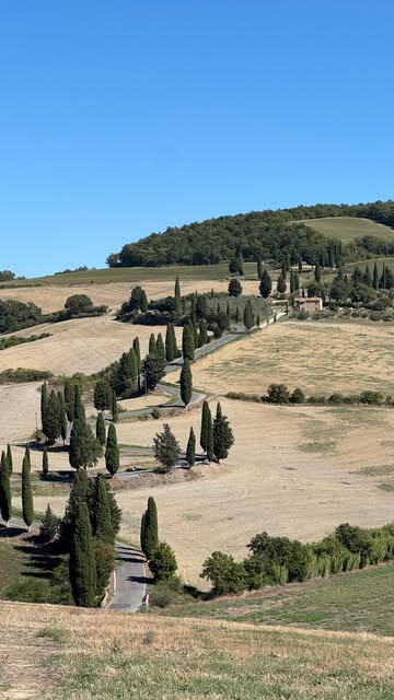 Foram dias incríveis, muitos lugares novos e memórias que quero guardar. 🤎

Fim de mais uma viagem, que já deixa saudade. ✈️

#firenze #toscana #siena #wien.